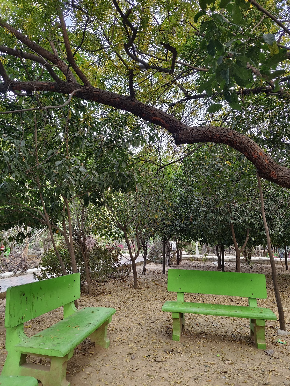 APJ Abdul Kalam Park