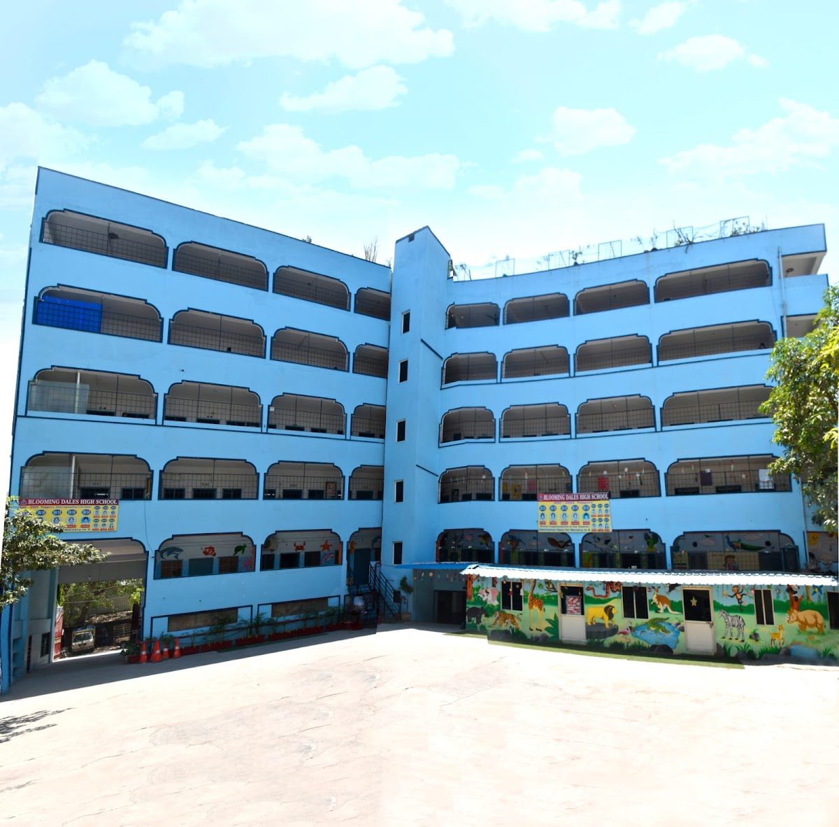 Blooming dales high school